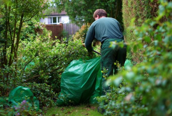 garden clearence milton keynes garden clearence milton keynes